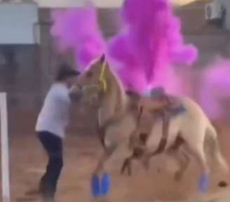 Cavalos participam de chá revelação em Goiás e vídeo gera indignação