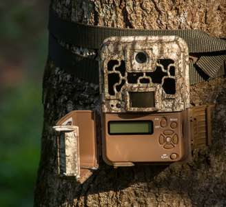 Câmeras com IA também tem o objetivo de rastrear atividades ilegais praticadas em florestas protegidas