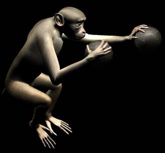 Durante o período de treinamento, os macacos foram encorajados a colocar essas mãos virtuais dentro de alvos específicos que apareciam na tela durante a execução de uma tarefa bimanual
