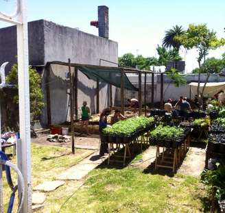 <p>Plantio de mudas no clube de maconha Cluc  Cultivando a Liberdade, o Uruguai Cresce, em Montevidéu</p>