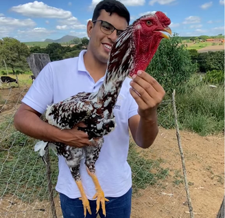 Aves da raça índio gigante podem ultrapassar 1 metro de altura