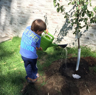 Benjamin planta sua primeira árvore em foto postada pela mãe, Gisele Bündchen, neste domingo (16)
