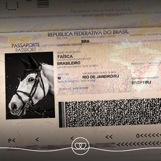 Cavalos olímpicos possuem documentação especial para viajar. Na imagem, tanto o cavalo quanto o passaporte são fictícios