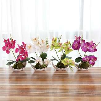 1. As flores da primavera nomes orquídeas possuem a maior variedade de cores e espécies – Foto: DhGate