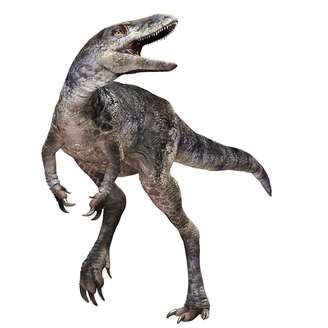 Desenho de um Khankhuuluu mongoliensis, o ancestral do tiranossauro recém-descoberto
