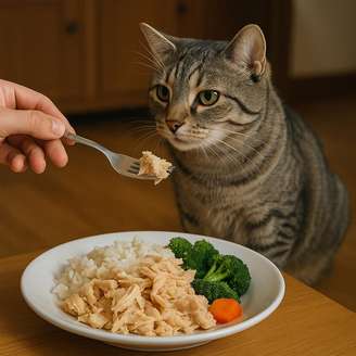 Comidas caseiras podem ser arriscadas para pets