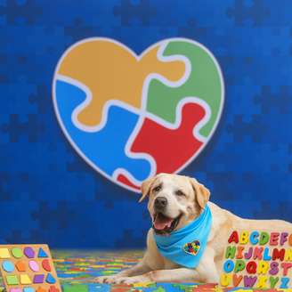 Campanha “Amar sem julgamentos”. AUlunos do Patinhas Urbanas mostram, em ensaio fotográfico, a força da conexão entre cães e pessoas com autismo.