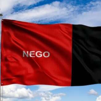 Bandeira da Paraíba.