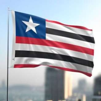 Bandeira do Maranhão.