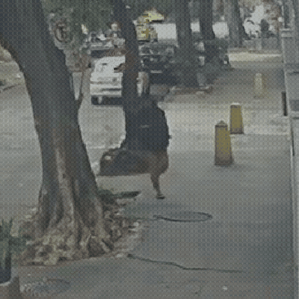 Mulher é 'engolida' por bueiro após tampa ceder no Rio de Janeiro