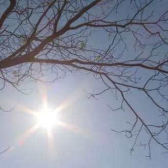 Calor e baixa umidade no Nordeste.