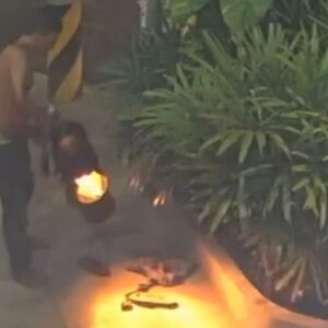 Homem arrancando semáforo no Recife
