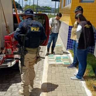 A fiscalização constatou ainda que o motorista que transportava a carga não possuía CNH.