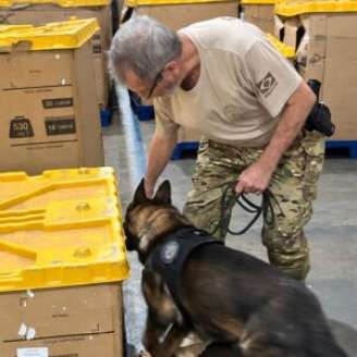 Operação usou cão farejador para encontrar o material ilícito.