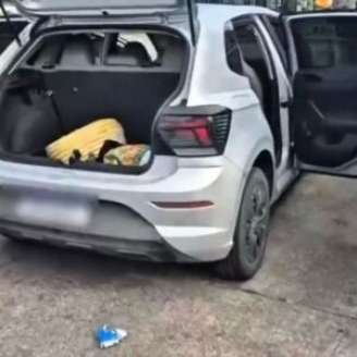 Durante a ação, os policiais apreenderam duas armas e localizaram uma caminhonete roubada e um carro adulterado.