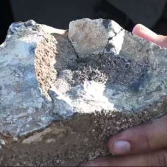 Fóssil de medula de preguiça-gigante é encontrado em sítio de Caruaru.