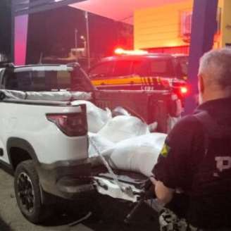 Homem é detido com 31 kg de maconha escondidos em fardos de ração na BR-232, em Sertânia.