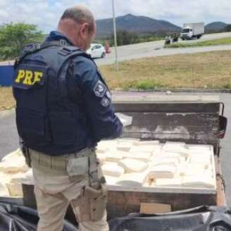 A vistoria no veículo constatou a carga alimentícia transportada de forma irregular.