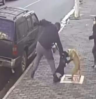 Registro do ataque do pitbull (preto) à cadela da raça shar-pei, em rua de Perdizes.