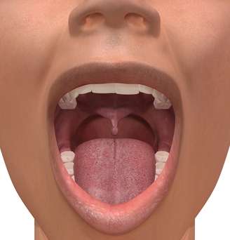 O hálito, a gengiva e até os dentes podem indicar problemas no organismo e psicológicos