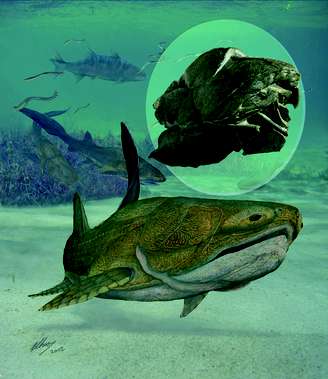 Imagem mostra como seria o <i>Entelognathus</i> e, no detalhe, o fóssil descoberto