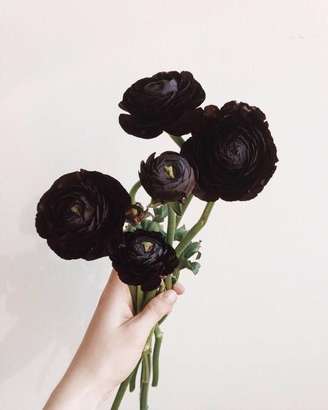 1. Flor preta para decoração de casa – Foto Jessica Heather Payne