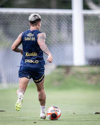 Fotos: Raul Baretta/ Santos FC.