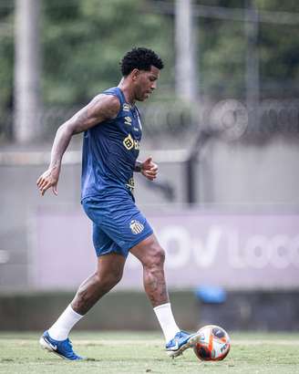 (Fotos: Raul Baretta/ Santos FC.)