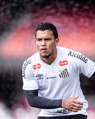 (Fotos: Raul Baretta/ Santos FC.)