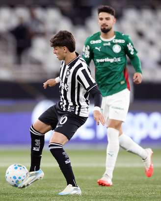Montoro durante o empate do Botafogo com o Palmeiras 