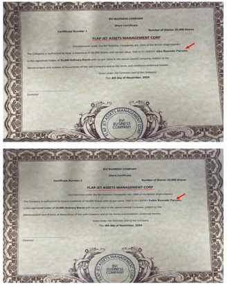 Certificados de constituição de offshores dos empresários Alex e Fábio Parente, investigados na Operação Overclean 