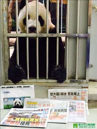 Foto fez imprensa chinesa acreditar que panda estava sendo sequestrado