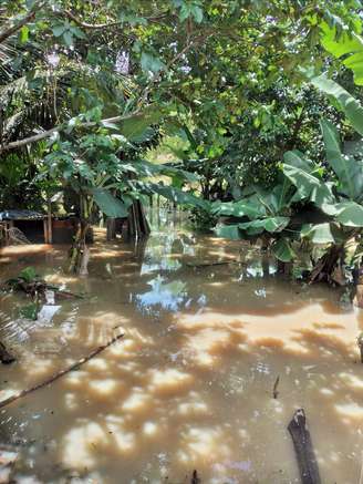 Chuvas em Minas Gerais já deixam 2,4 mil desabrigados