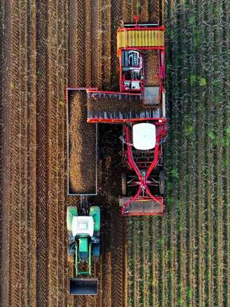 Agronegócio: exportações e câmbio ajudam a sustentar setor, diz BB.