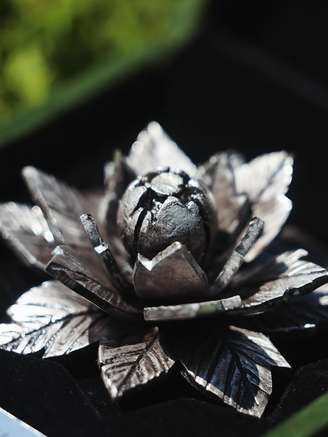 'Flor da Resistência' 