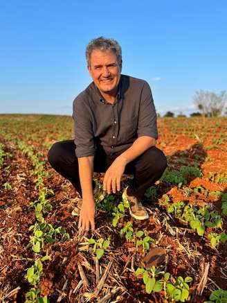 Marcos Jank, professor sênior de agronegócios globais no Insper