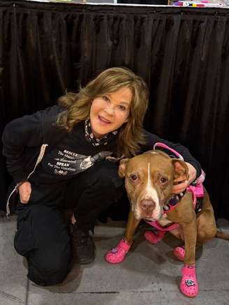 A casa e os canis da atriz Linda Blair, conhecida por seu papel em 'O Exorcista', foram revistados por autoridades do Condado de Los Angeles