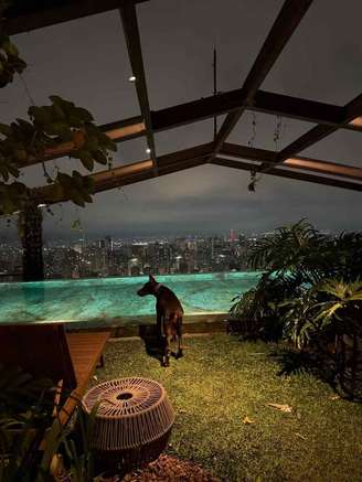 Memphis Depay morou em uma cobertura triplex no Hotel Rosewood, em São Paulo –