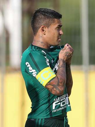 Dudu entrou na pré-lista de Tite para a Copa do Mundo (Foto: Cesar Greco/Ag. Palmeiras)