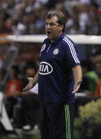 <p>Kleina tenta acertar time do Palmeiras para 2013</p>