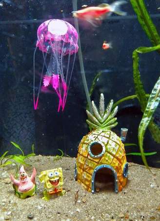 1. Ornamentos divertidos para decorar o aquário. Fonte: Casa Abril
