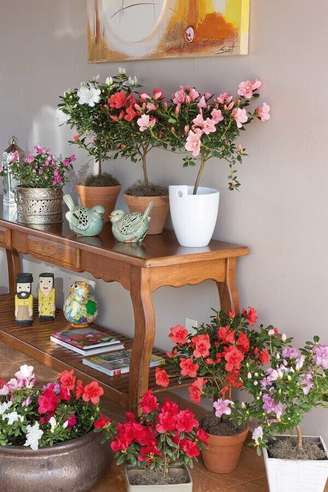 1- A coleção da flor azaleia decora a sala sobre o aparador de madeira. Fonte: Revista Natureza