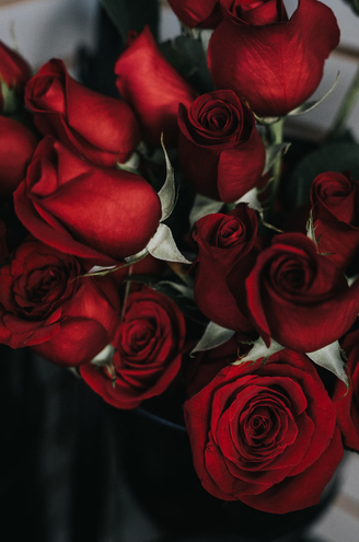 1. Rosas vermelhas são clássicas e simbolizam paixão e amor – Foto: Unsplash