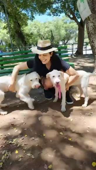 Letícia Sabatella e os cães Bertoldo e Bebê