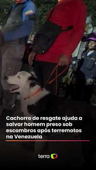 Ok, estamos listos. Silencio total, no quiero escuchar un teléfono. Silencio total. Silencio total. Vamos, vamos, vamos. Uno, dos, tres. Nos está escenario, está vivo. Después de que Tsunami lo marcó.…