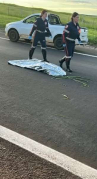 Rodovia em Bauru chegou a ficar totalmente interditada por conta do atropelamento