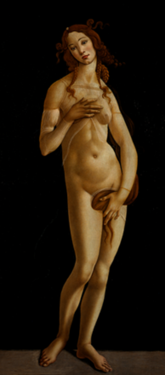 'Vênus', de Sandro Botticelli, faz parte do acervo da Galleria Sabauda, em Turim